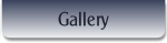 Gallery.